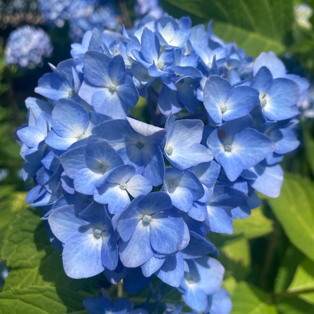 Meet your Posher, Kym